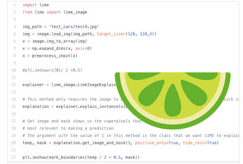 Interpretable Machine Learning